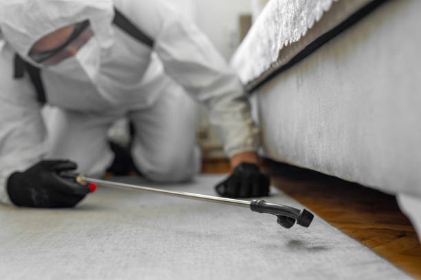 Professional Bed Bug Control technician working in Spokane Valley, WA