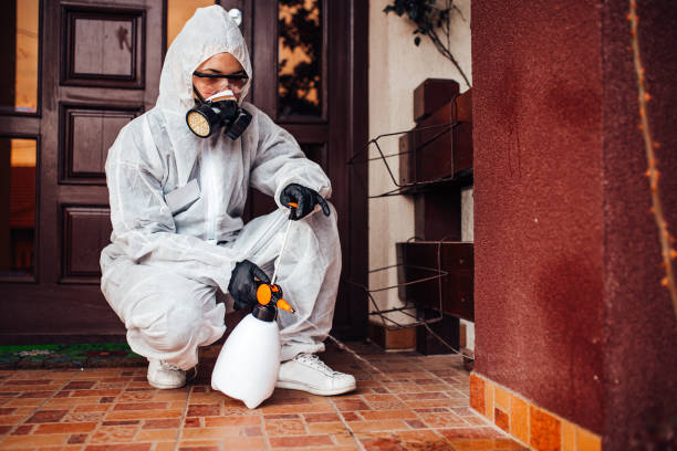 Reliable Bed Bug Control contractor in Spokane Valley, WA by Nex Pest Control