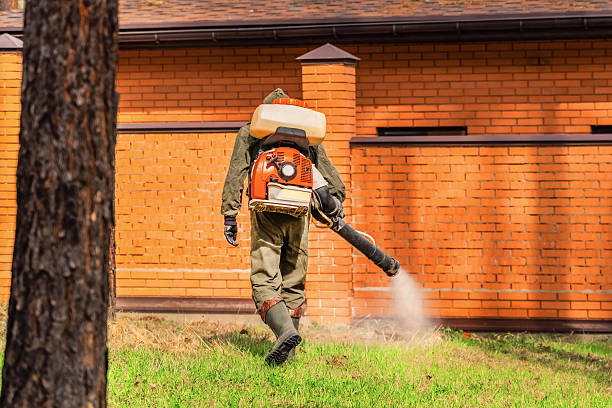Trusted Termite Control service in Spokane Valley, WA - Nex Pest Control